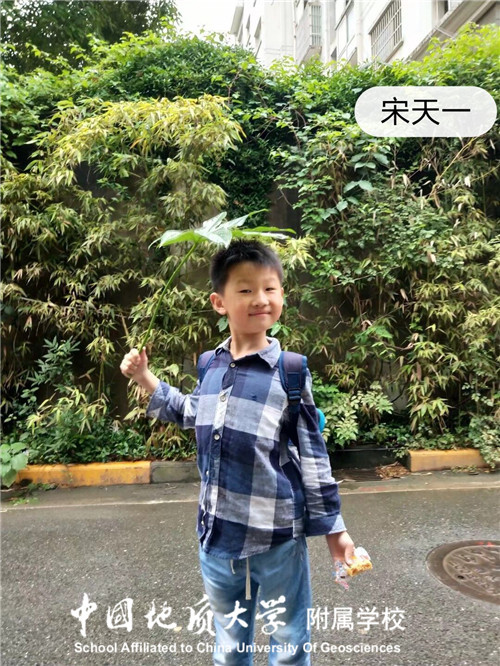 bevictor伟德官方app下载