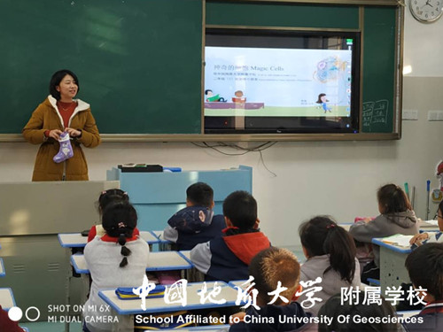 bevictor伟德官方app下载