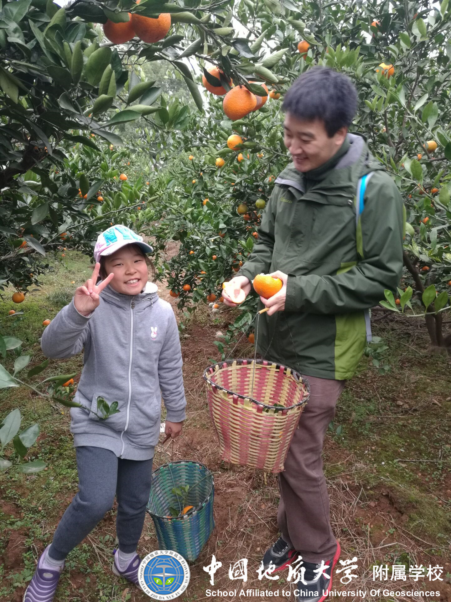 bevictor伟德官方app下载