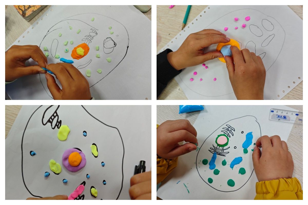 bevictor伟德官方app下载