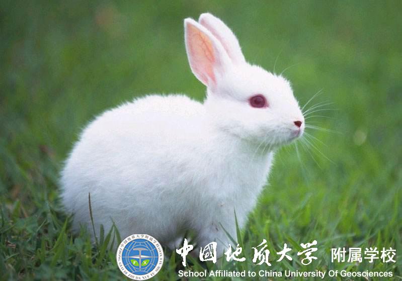 bevictor伟德官方app下载