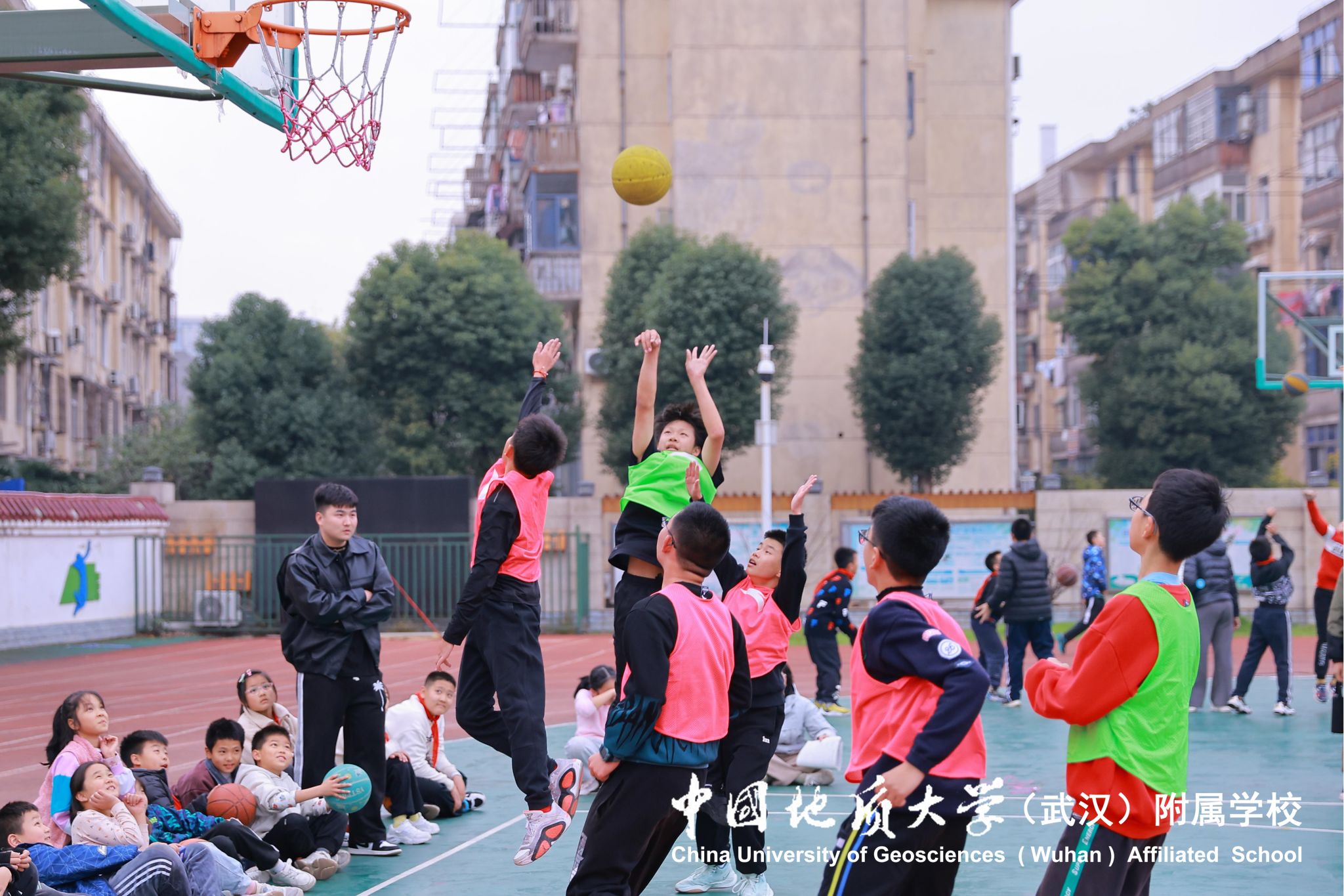 bevictor伟德官方app下载