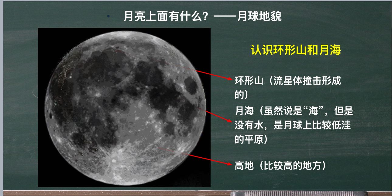 bevictor伟德官方app下载