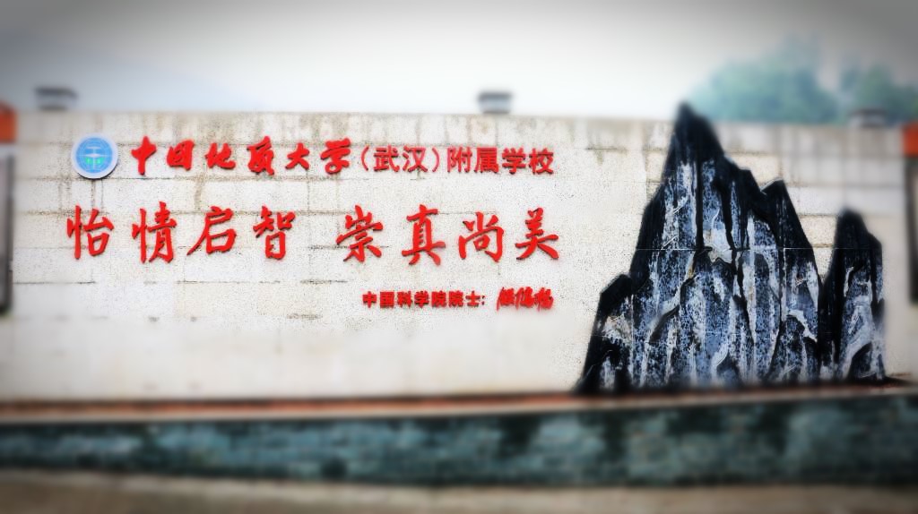 bevictor伟德官方app下载