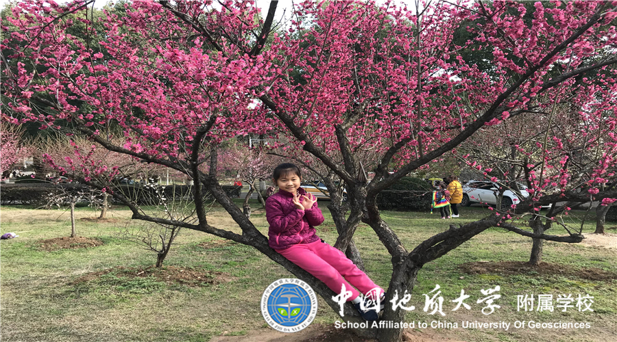 bevictor伟德官方app下载
