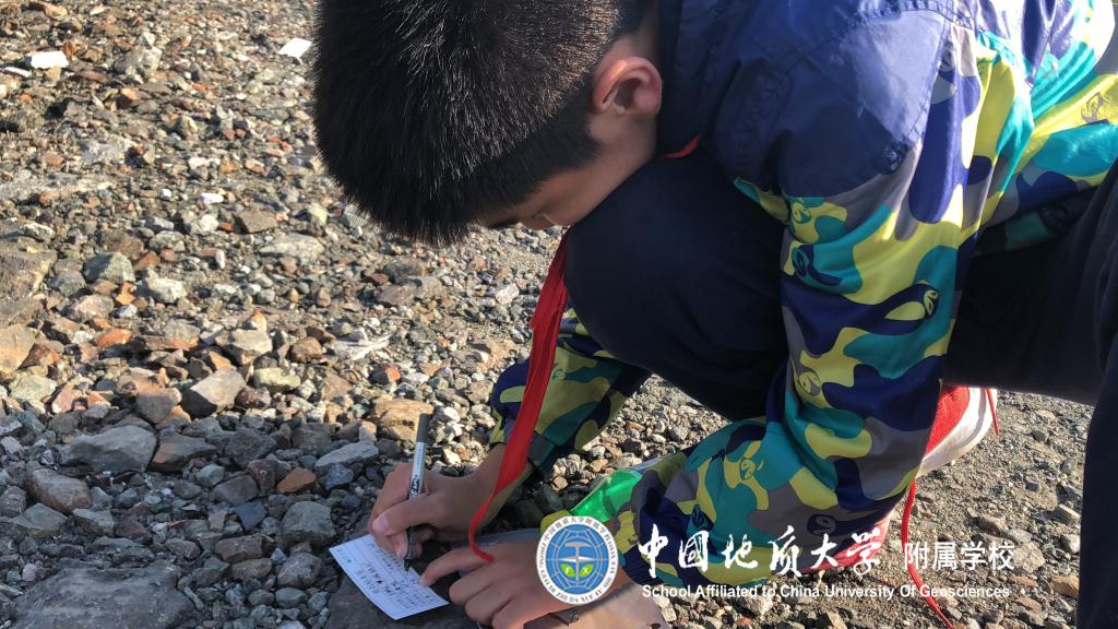 bevictor伟德官方app下载