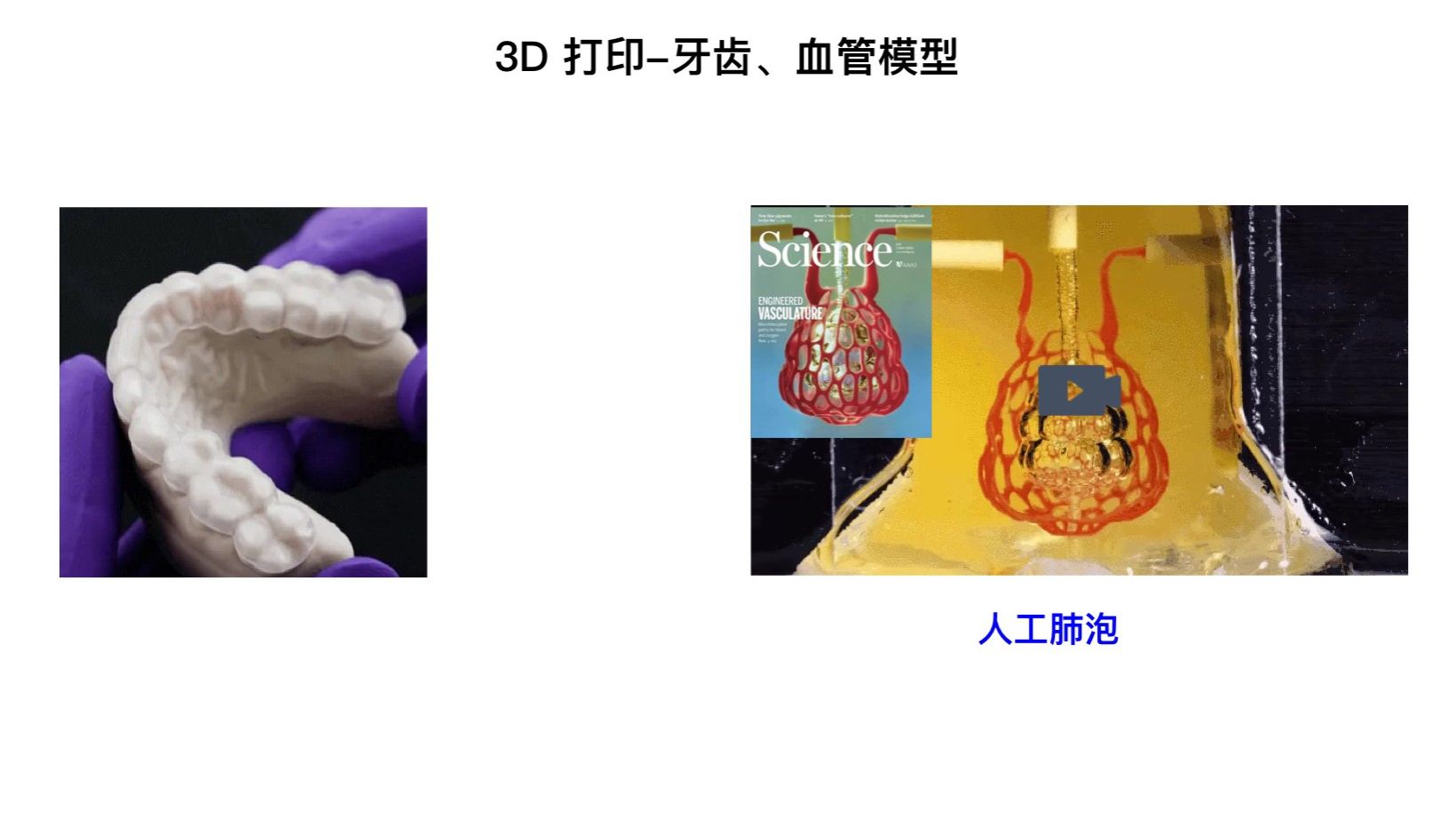 bevictor伟德官方app下载