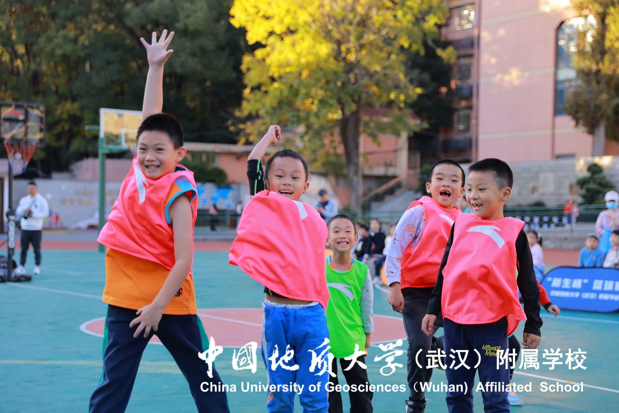 bevictor伟德官方app下载