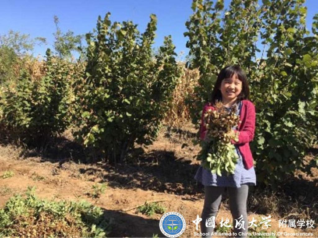 bevictor伟德官方app下载
