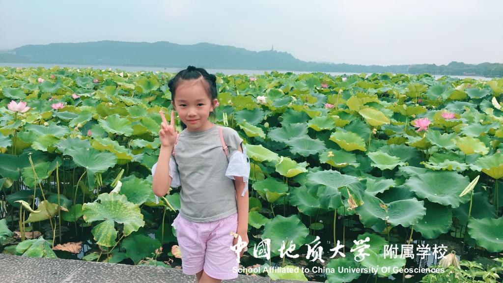 bevictor伟德官方app下载
