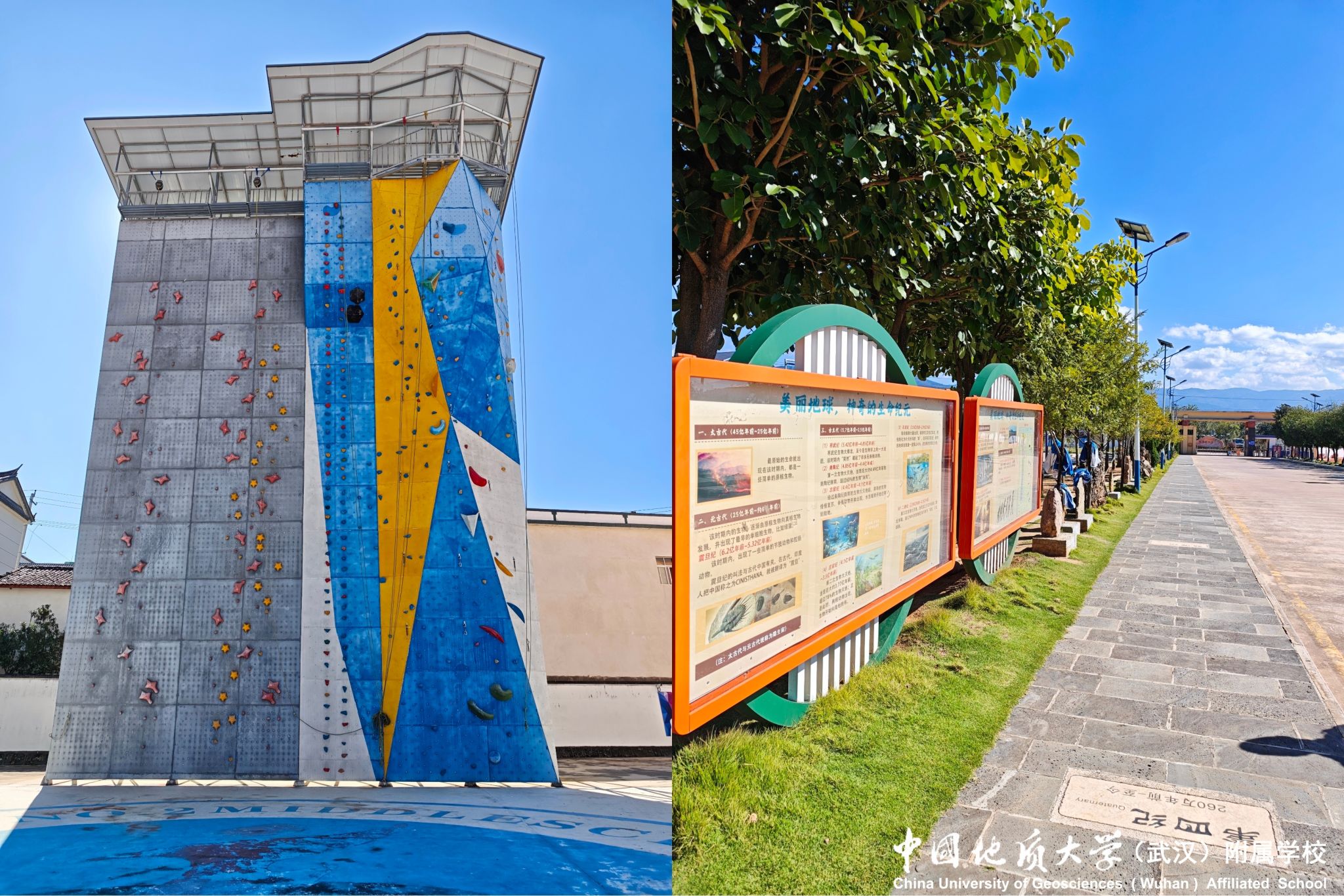 bevictor伟德官方app下载