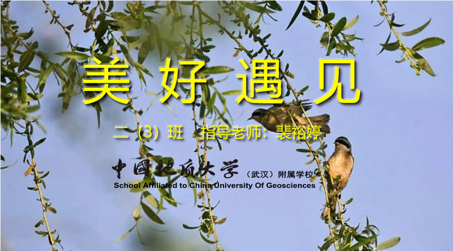 bevictor伟德官方app下载