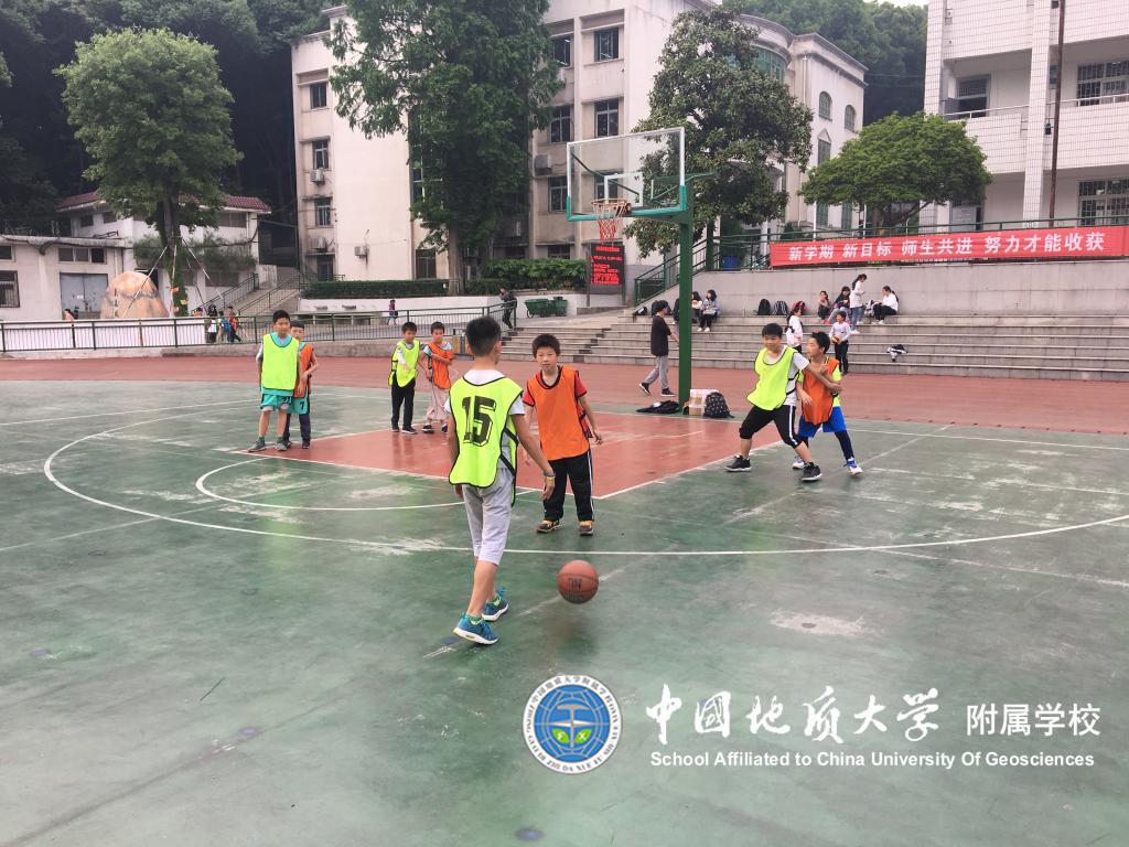 bevictor伟德官方app下载