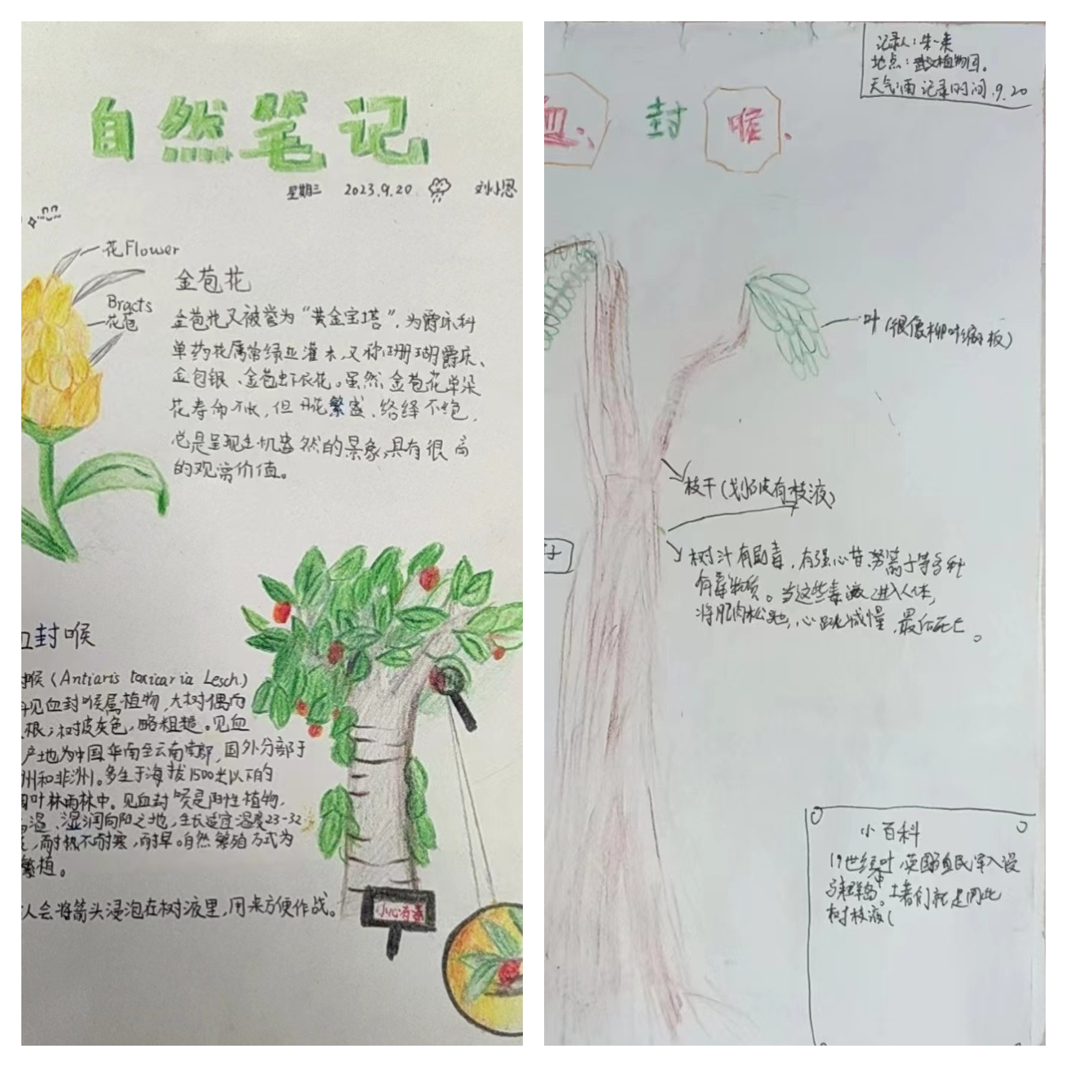 bevictor伟德官方app下载