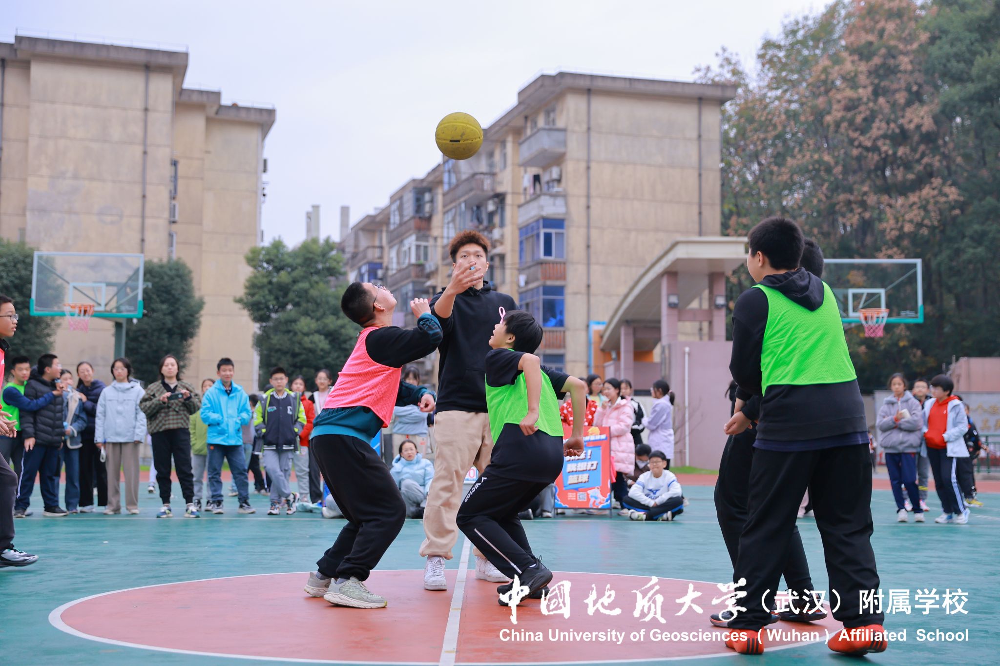 bevictor伟德官方app下载