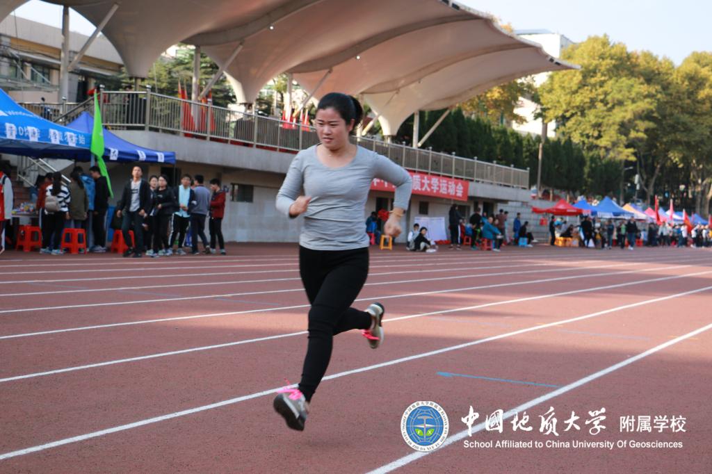 bevictor伟德官方app下载