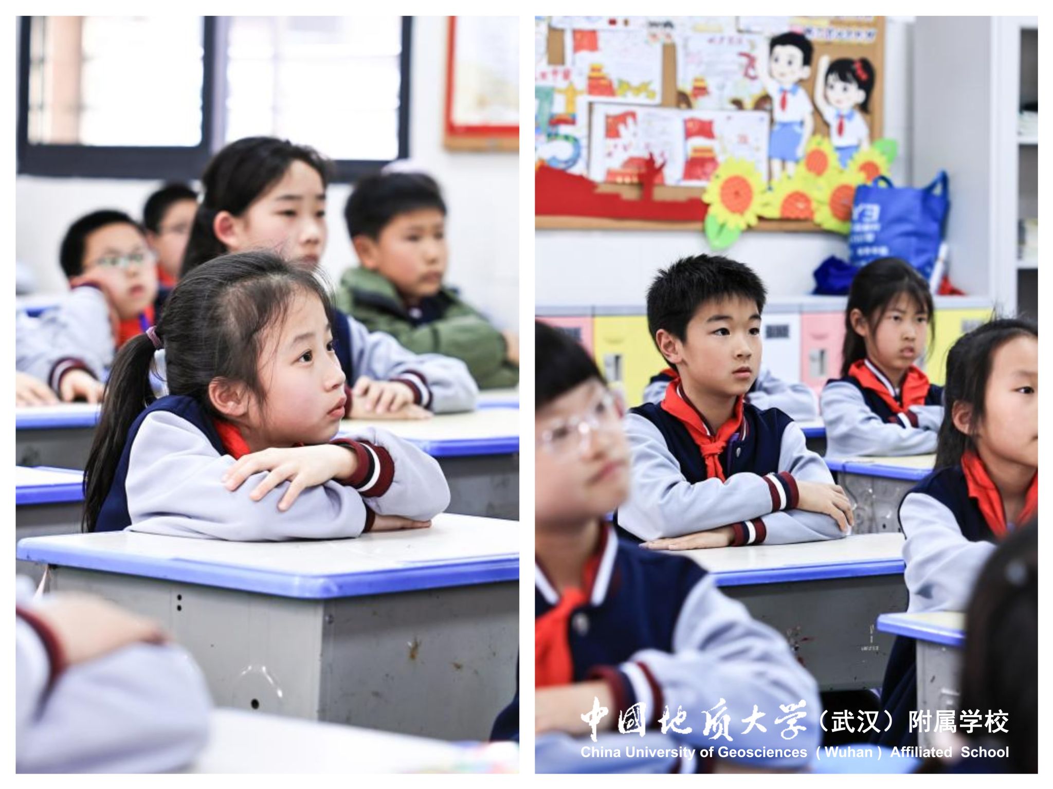 bevictor伟德官方app下载
