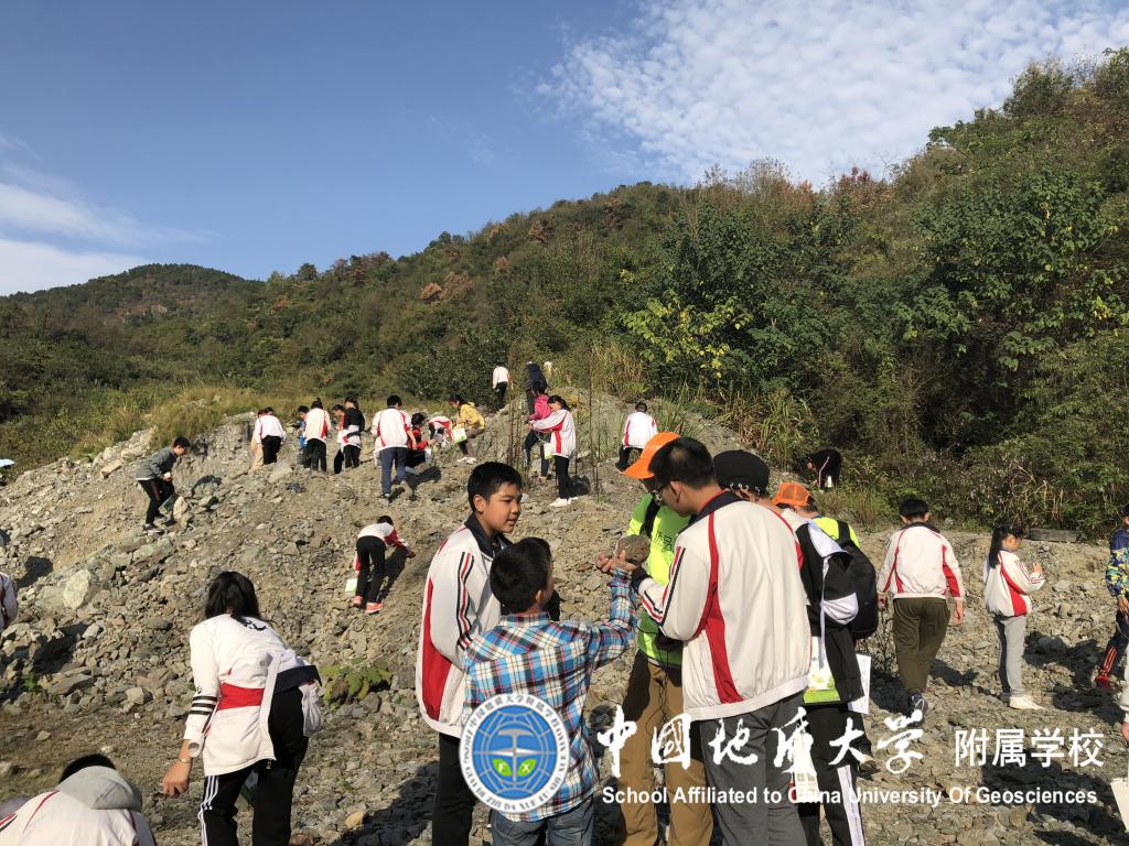 bevictor伟德官方app下载
