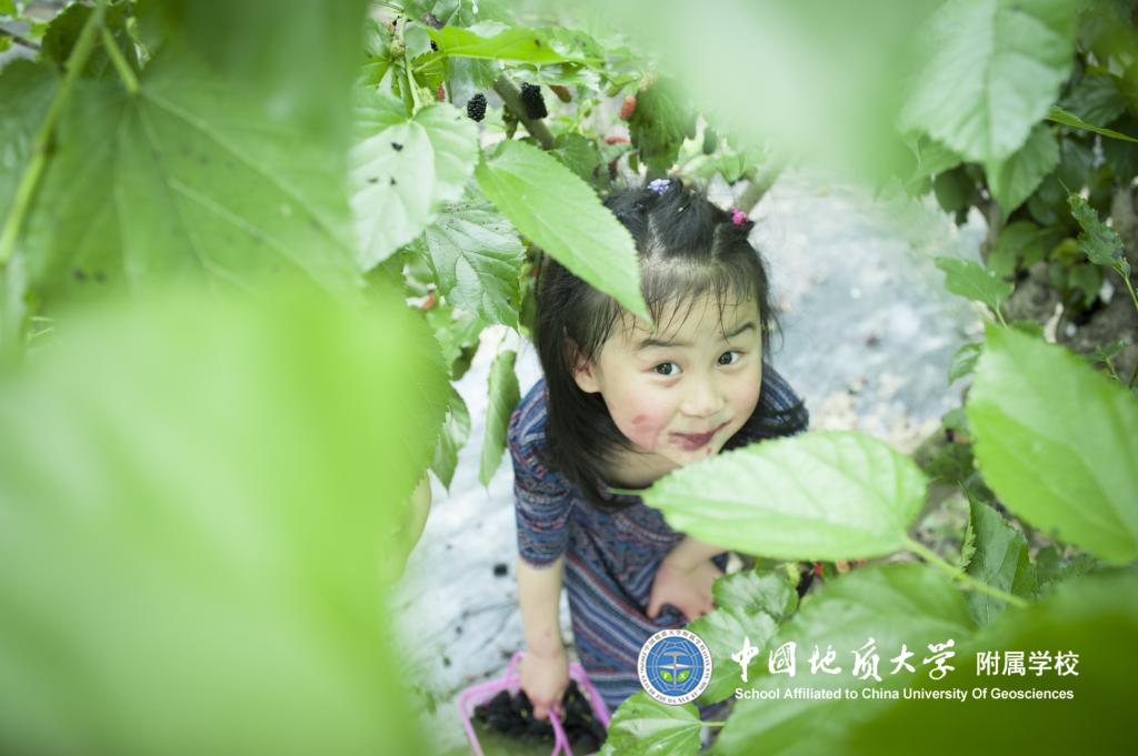bevictor伟德官方app下载
