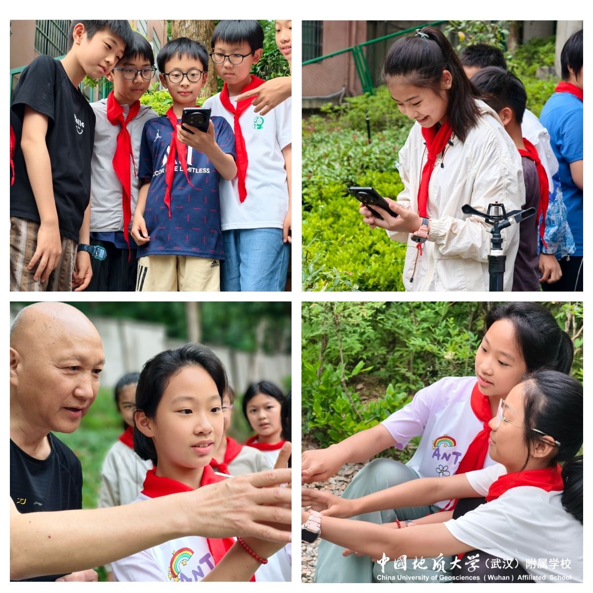bevictor伟德官方app下载