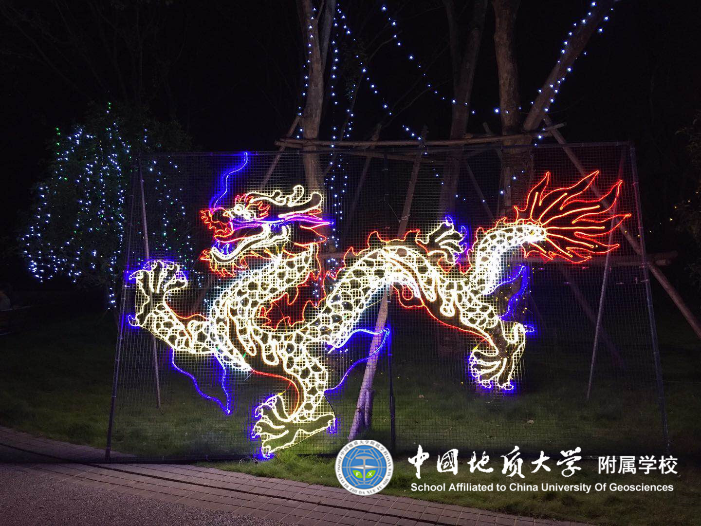 bevictor伟德官方app下载