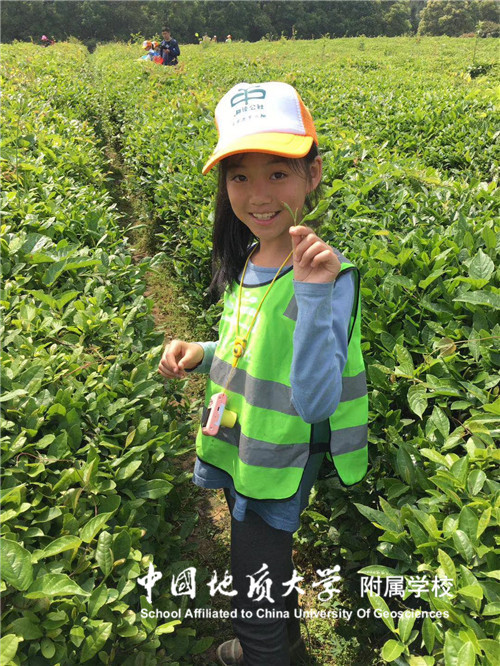 bevictor伟德官方app下载