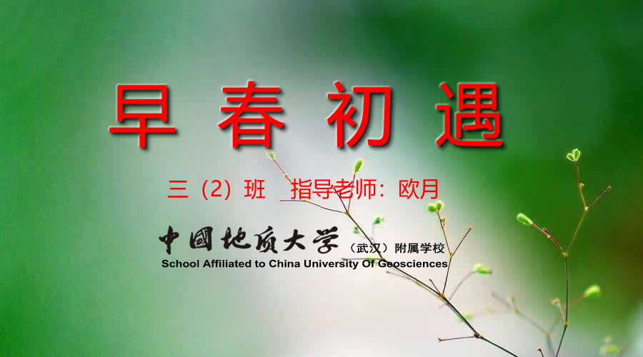 bevictor伟德官方app下载