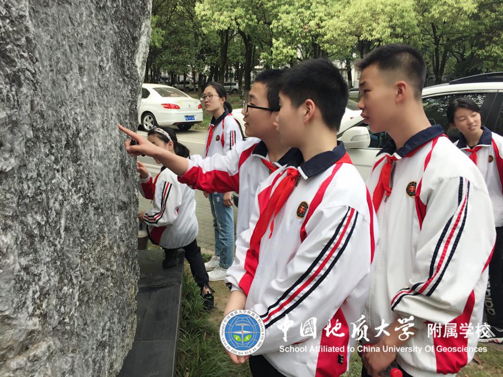 bevictor伟德官方app下载
