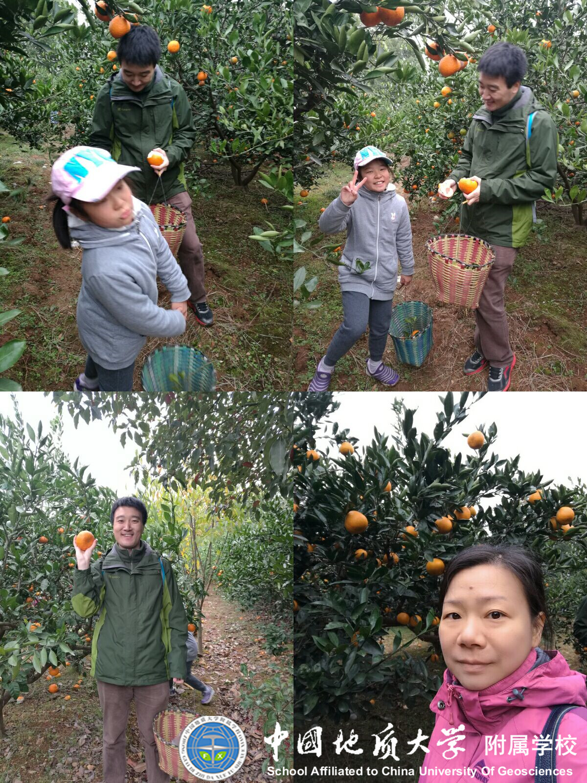 bevictor伟德官方app下载