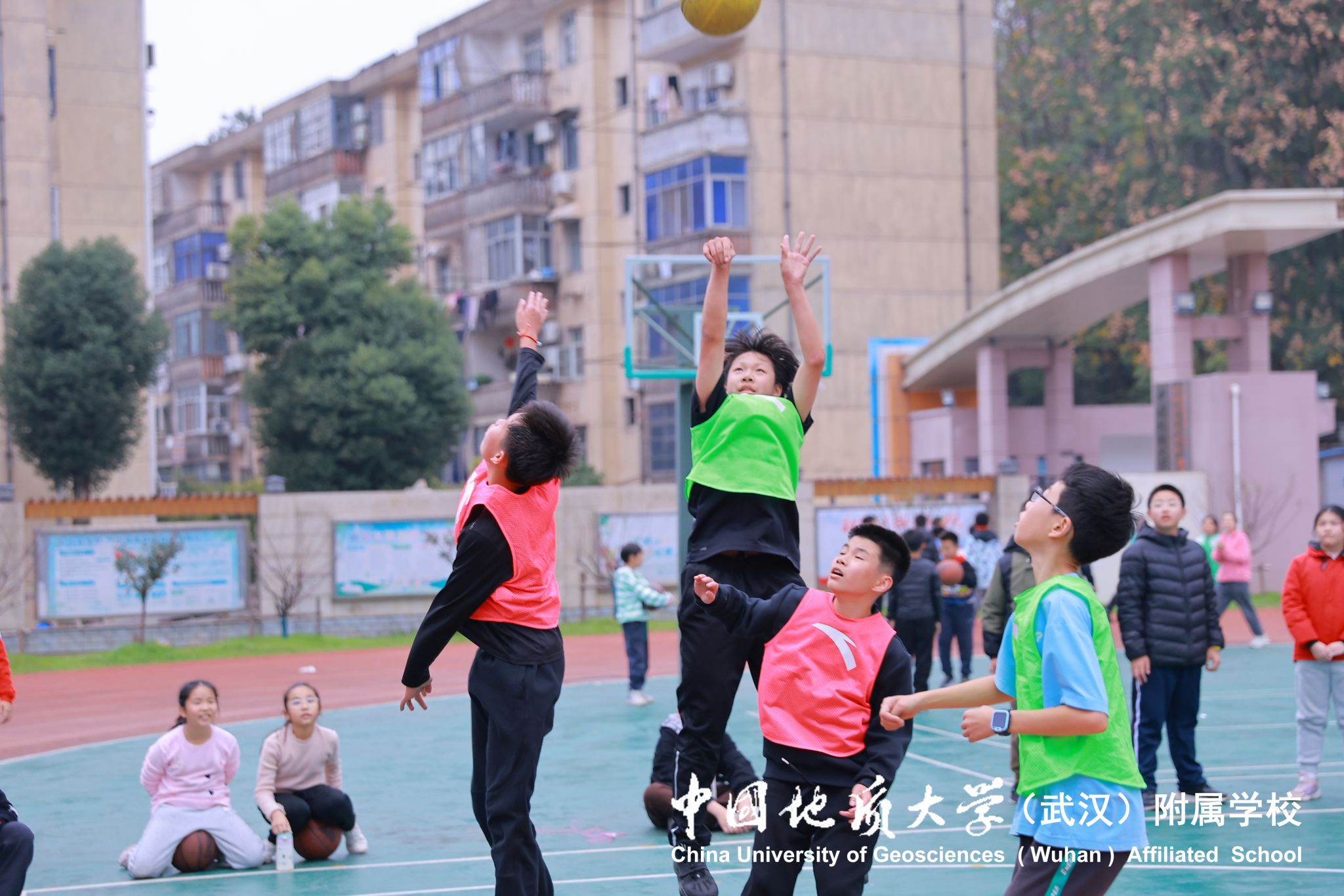 bevictor伟德官方app下载