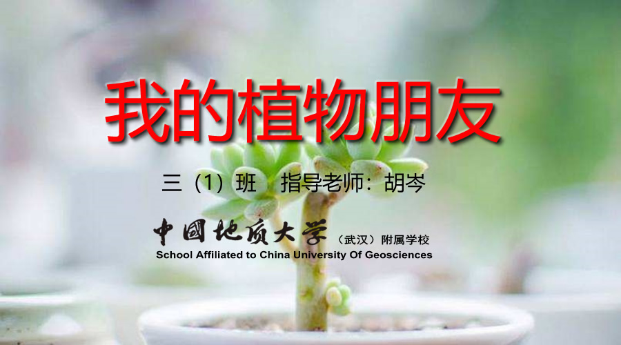 bevictor伟德官方app下载