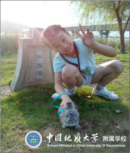 bevictor伟德官方app下载