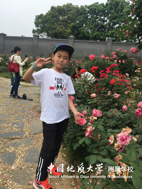 bevictor伟德官方app下载