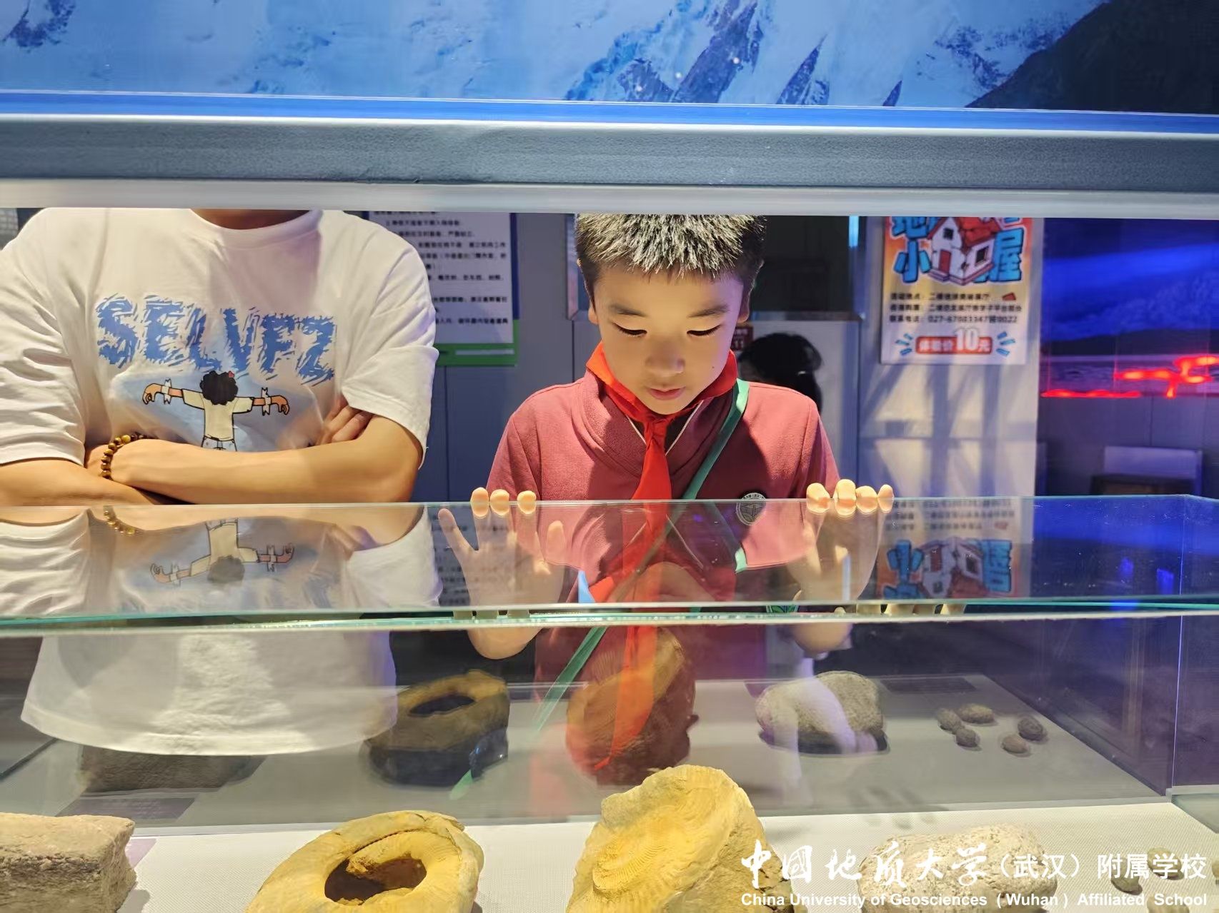 bevictor伟德官方app下载