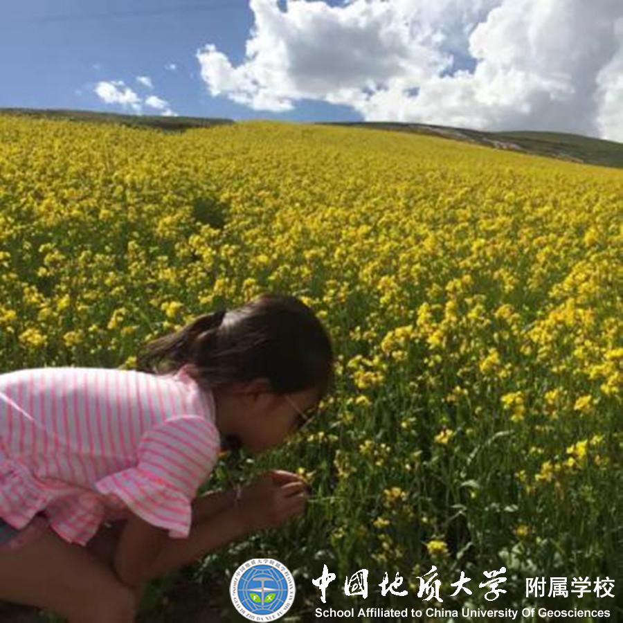 bevictor伟德官方app下载