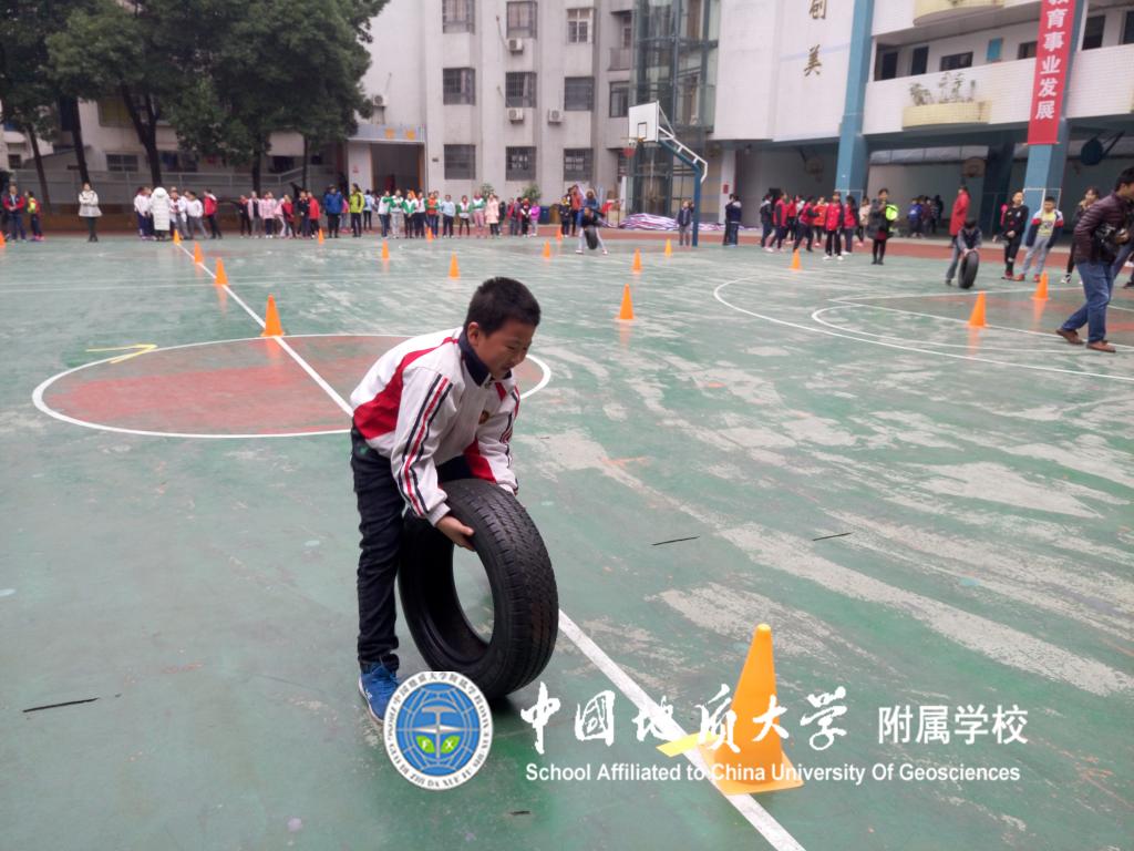 bevictor伟德官方app下载