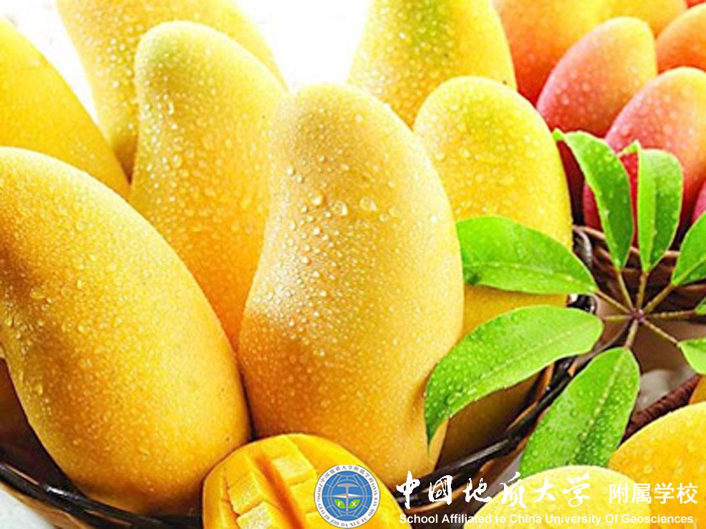 bevictor伟德官方app下载