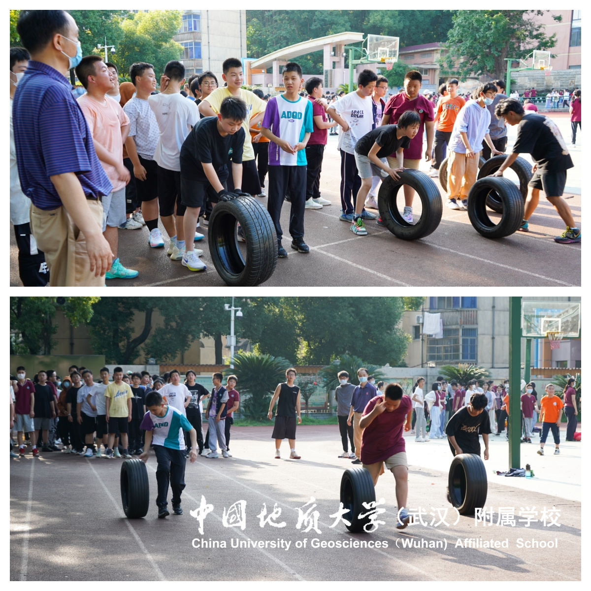 bevictor伟德官方app下载