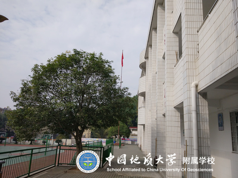 bevictor伟德官方app下载
