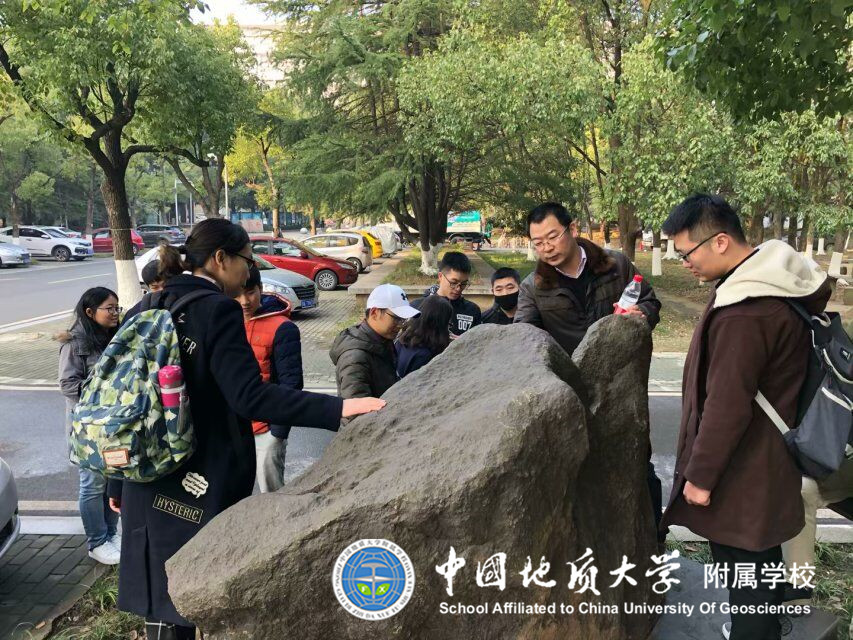 bevictor伟德官方app下载