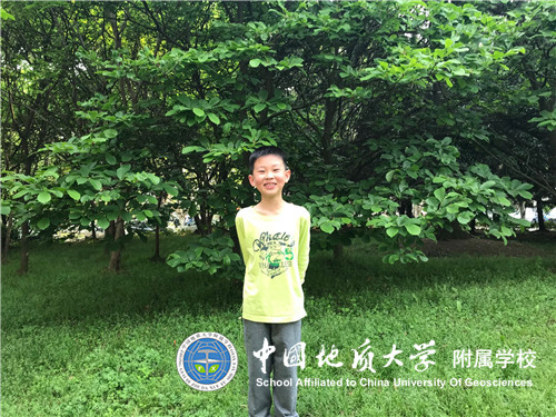 bevictor伟德官方app下载