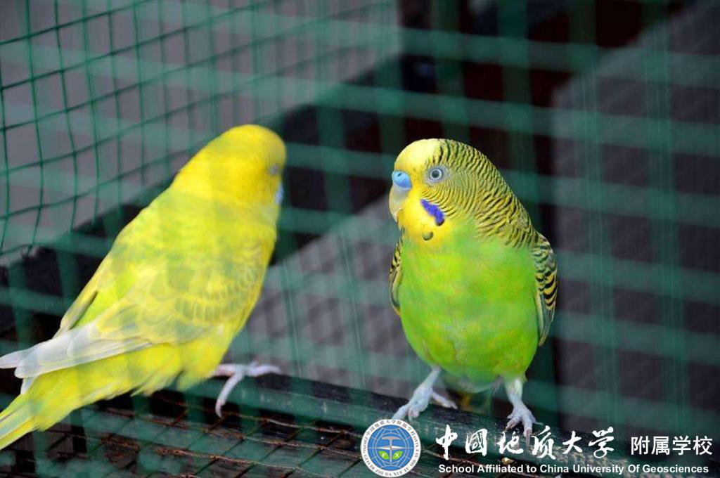 bevictor伟德官方app下载