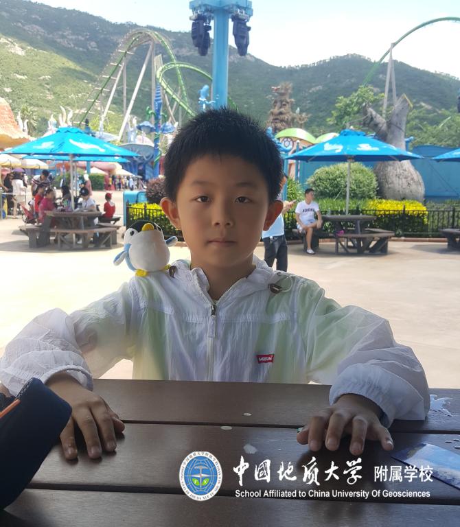 bevictor伟德官方app下载