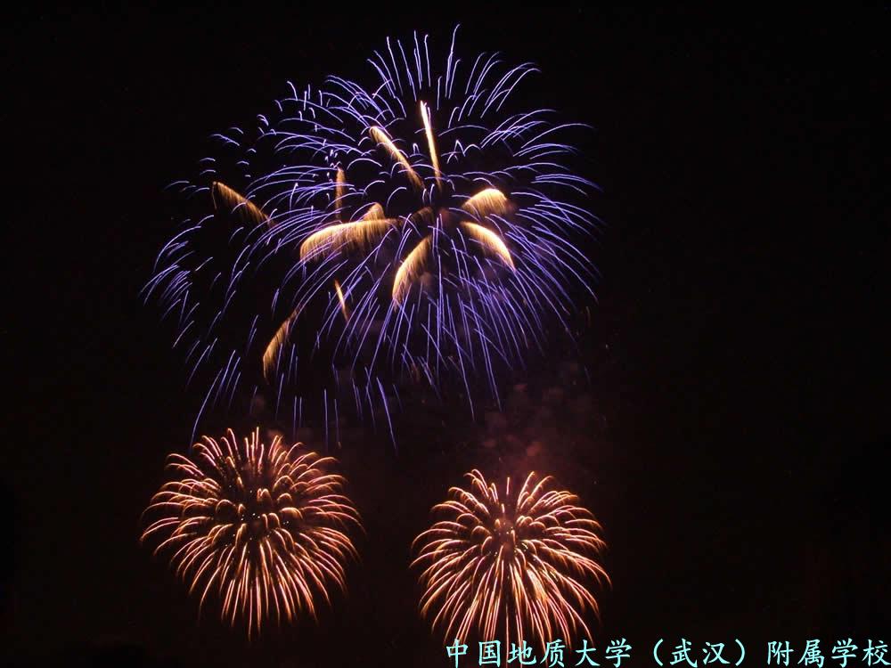 bevictor伟德官方app下载