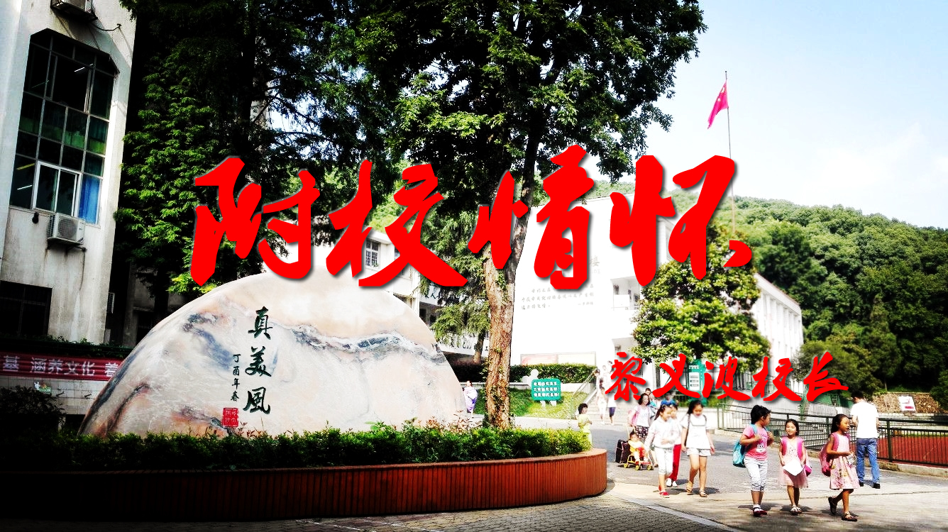 bevictor伟德官方app下载