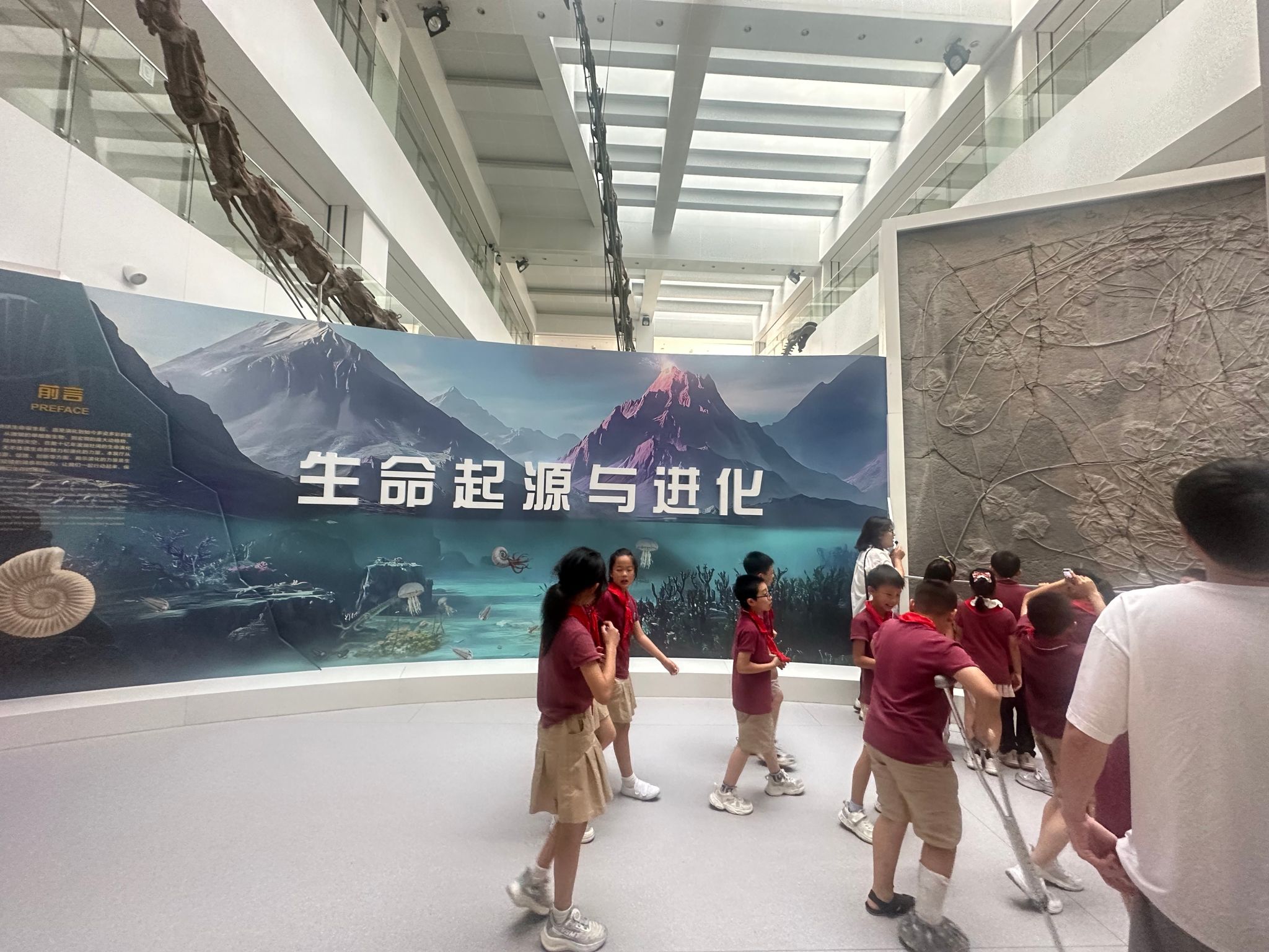 bevictor伟德官方app下载