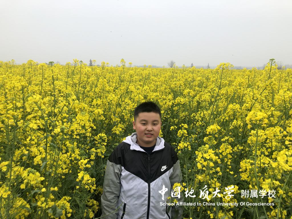 bevictor伟德官方app下载