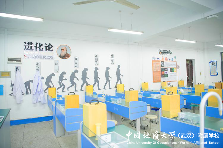 bevictor伟德官方app下载