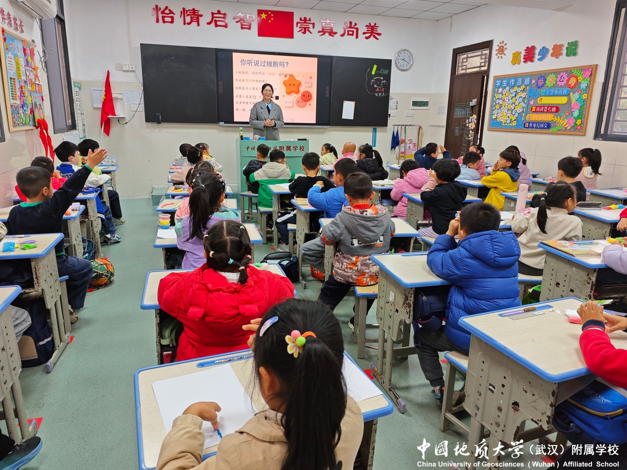 bevictor伟德官方app下载