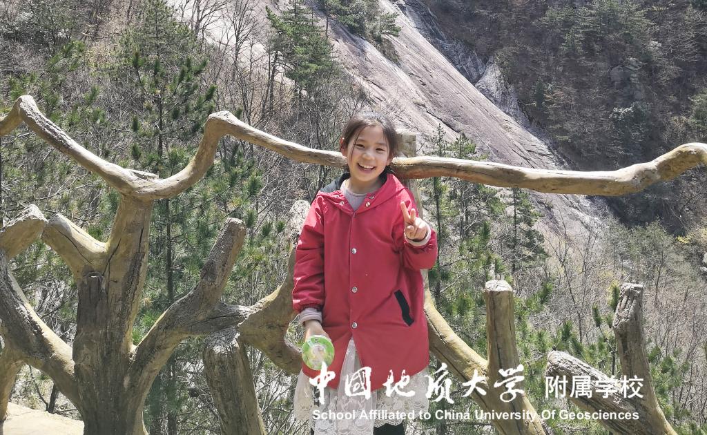 bevictor伟德官方app下载